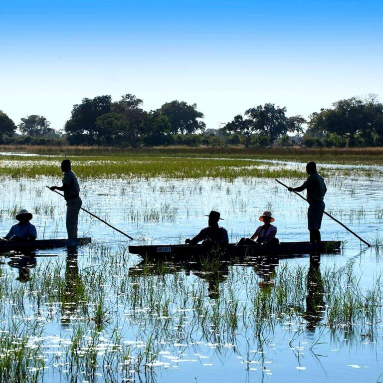 22104573 509831616037733 8605586697607353990 o 768x768