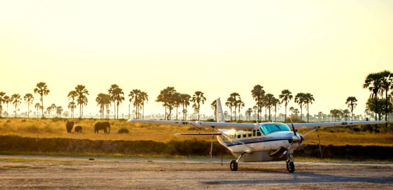 39610976 2049149115096800 2157697758834720768 o 768x372